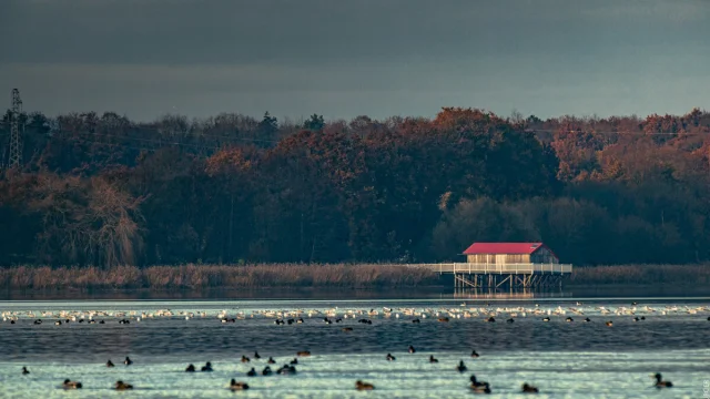 Cabane de l'étang de Bazouges à Hédé-Bazouges