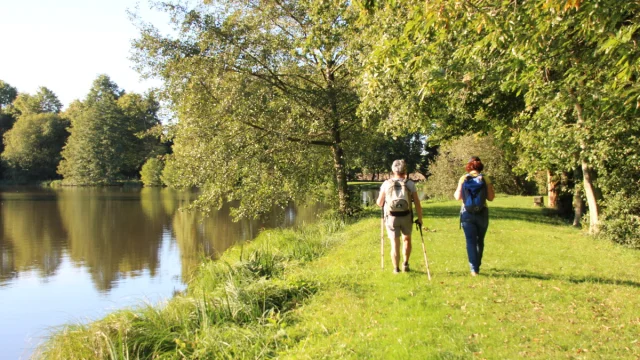 Randonnée près d'un étang à Trans la Forêt