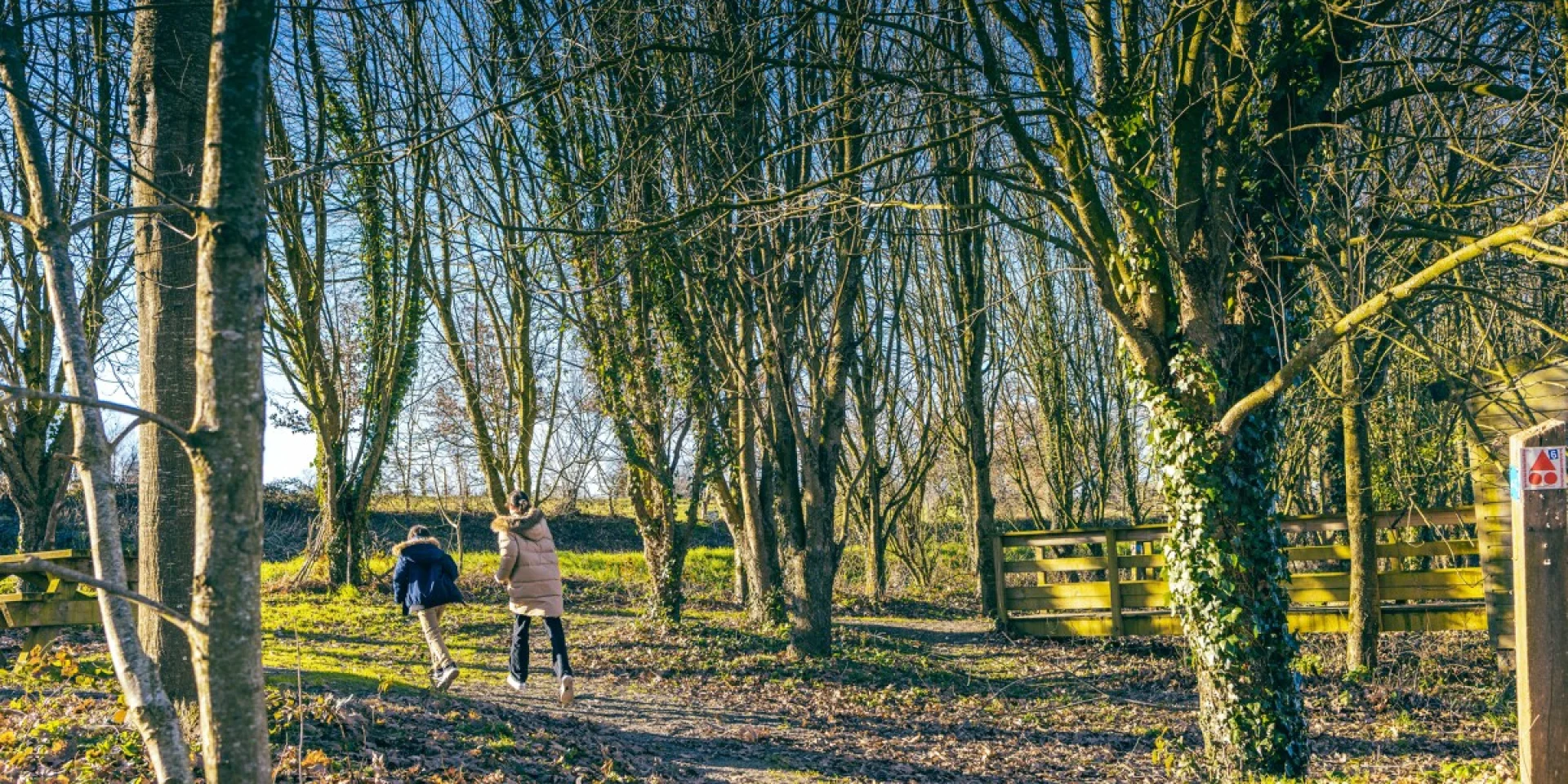 Sortie nature ornithologique dans la marais de sougeal