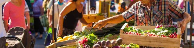 ©Simon Bourcier - Dol-de-Bretagne