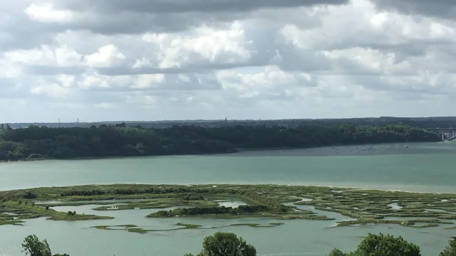 Vignes du Mont Garrot et camp Vikings