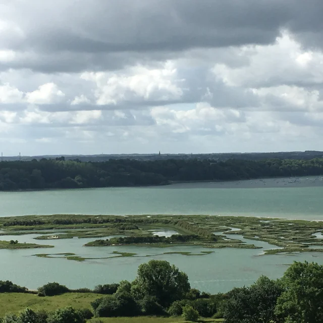 Mont Garrot vineyards and Viking camp