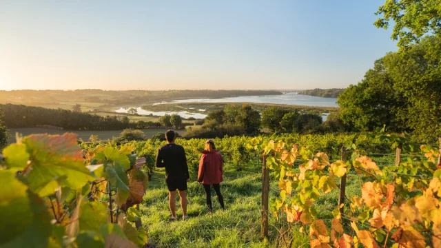 Vignes Du Clos Garrot Saint Suliac Thibault Poriel 5197 1200px