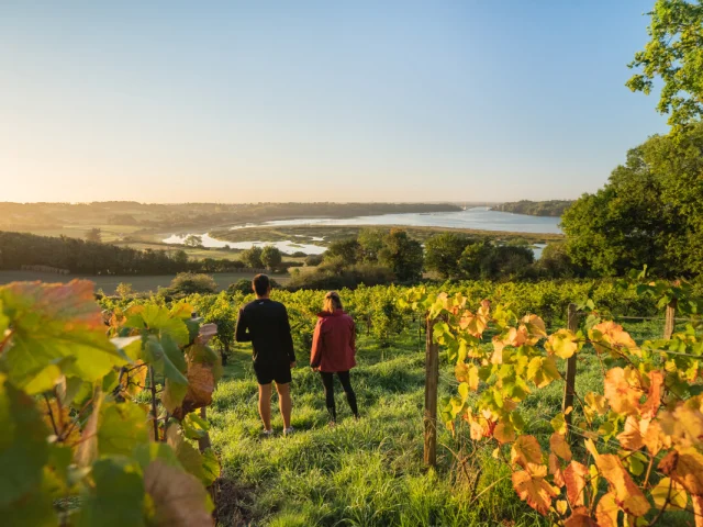 Vignes Du Clos Garrot Saint Suliac Thibault Poriel 5197 1200px