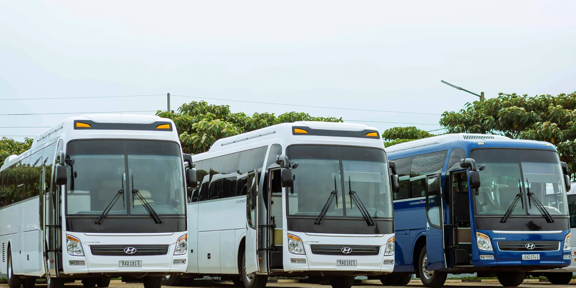 Pexels Safi Erneste 165511538 18029643