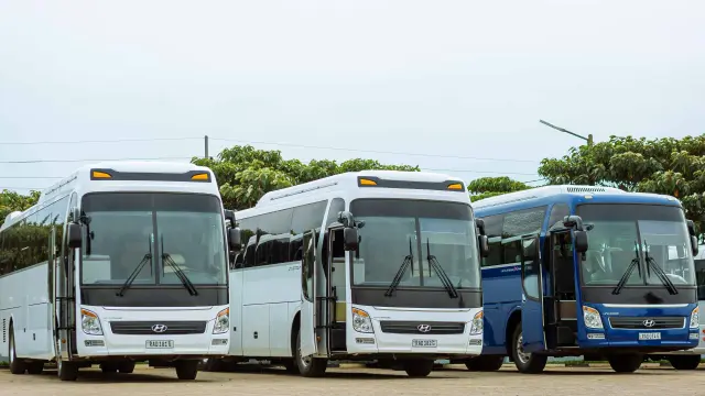 Pexels Safi Erneste 165511538 18029643