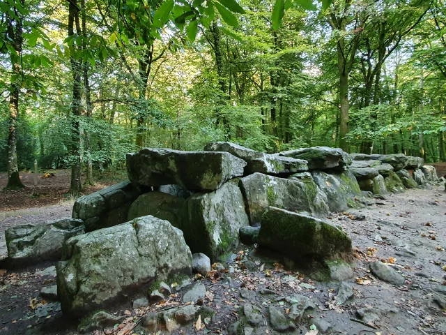 ©SMBMSM - Passerella coperta - Foresta di Tressé - Tressé